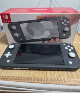 Nintendo Switch Lite Gris