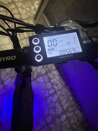 Patinete Eléctrico SmartGyro Rockway