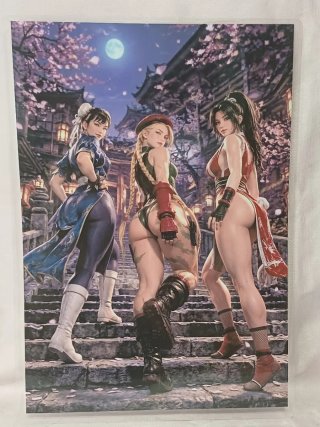 Póster Plastificado Street Fighter