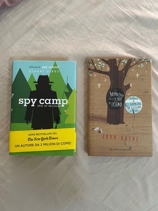 2 libri per bambini 10+