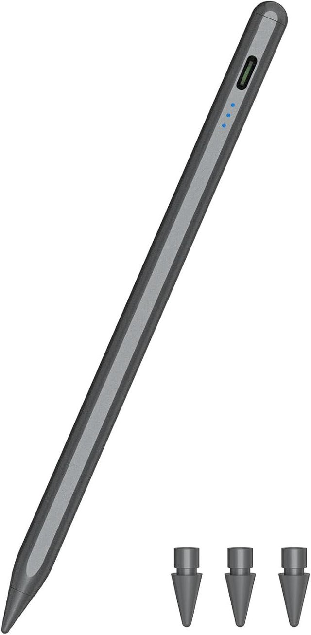 SENKUTA Penna per iPad (Carica Rapida in 10 Min)