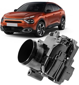 Taesayl cuerpo acelerador metal Citroën C4 F20 F21