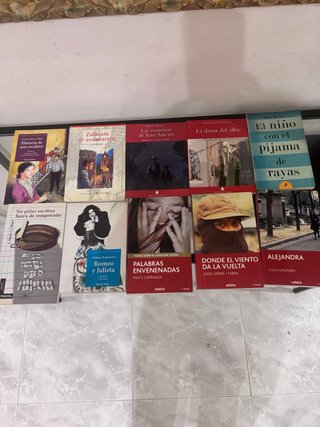 Lote de novelas juveniles