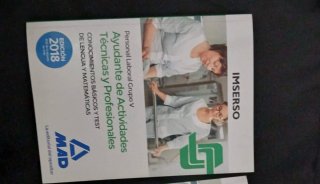 Libro AYUDANTE ACTIVIDADES TÉCNICA Y PROFESIONALES