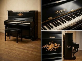 Piano Clásico Gaveau París (en Madrid)