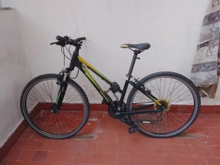 Bicicleta de Montaña Winora
