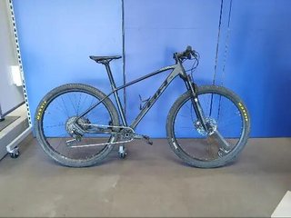 BH EXPERT 29"
