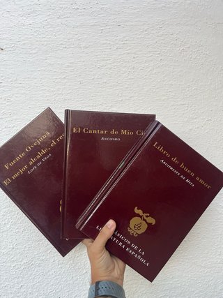 Lote 3 clásicos de la literatura española – Edicio