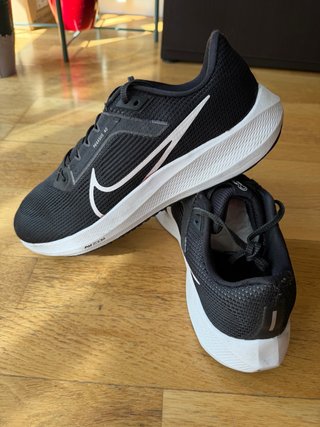 Nike Pegasus 40