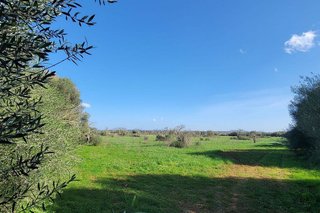 Terreno en venta en Campos