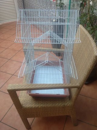 Jaula para pájaros blanca