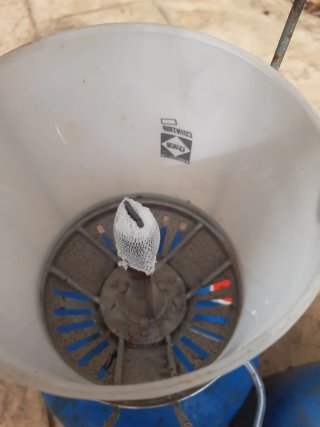 Lámpara de gas Cointra