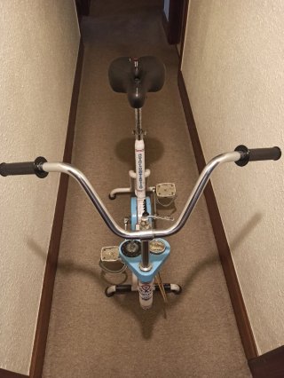 Bicicleta Cicloestática Vintage G.A.C