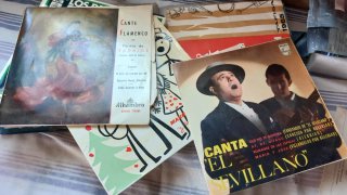 Lote de 28 Discos de Flamenco