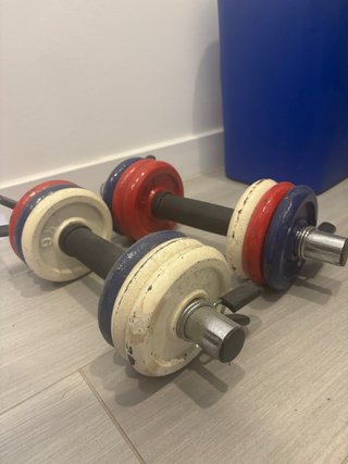 Set de 2 Pesas de 6kg