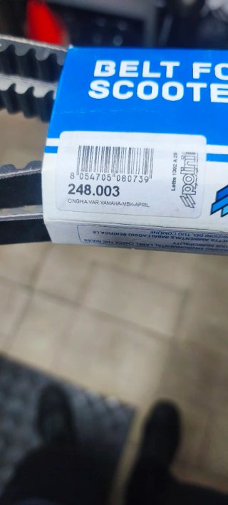 Correa Polini 248.003 para Motor Minarelli