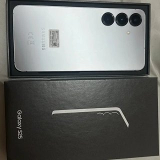 Samsung Galaxy S25 Argento