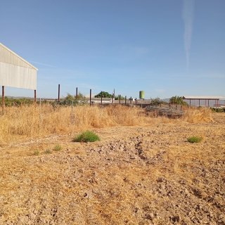 Finca Rústica de Regadío