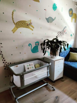 Cuna Colecho Jané Babyside