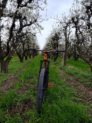 Bicicleta de Montaña Specialized