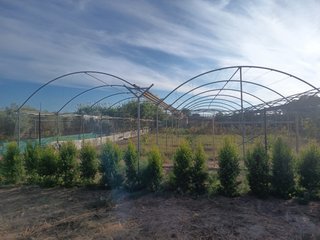 Estructura de Invernadero garvanizada