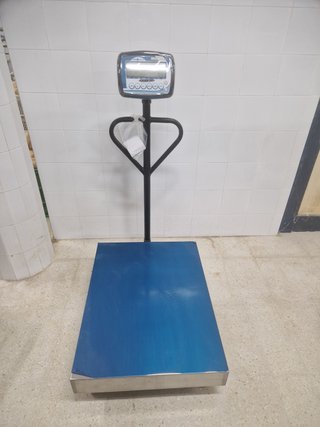 Báscula Industrial de Plataforma