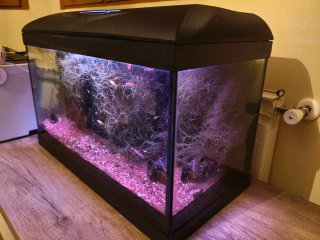 Acuario Riviera Wave 60