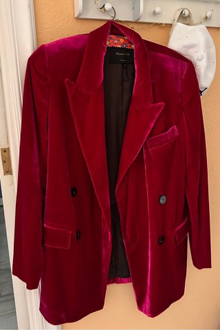 Blazer de Terciopelo Rosa Massimo Dutti