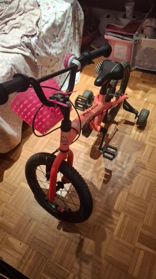 Bicicleta Infantil Monty Rosa