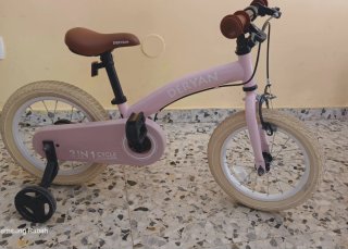 Bicicleta Infantil Deryan Rosa
