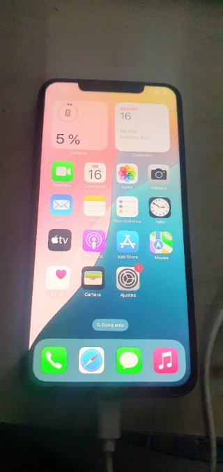 iPhone XS Max 256GB (Per riparazione)