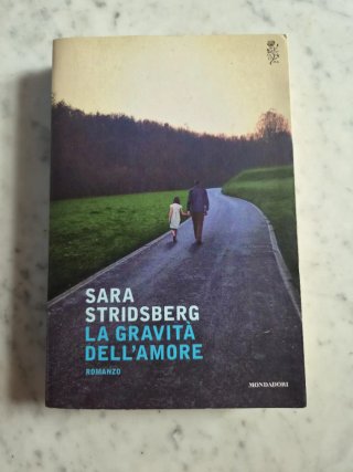 La gravità dell'amore: romanzo