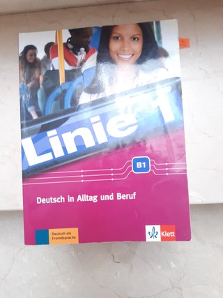 Linie 1 Kurs- und Übungsbuch : mit Video und Au...