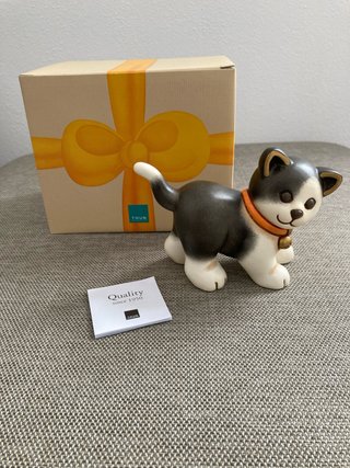 Gatto europeo Thun medio
