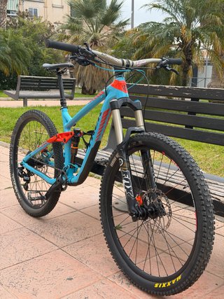 Trek Remedy 9