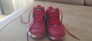 Zapatillas Nike Pegasus 42