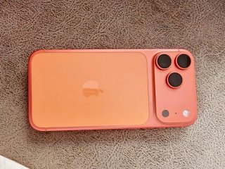 iPhone 17 Pro Max Rose Gold