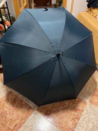 Paraguas Grande Azul