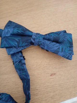 Pajarita Azul con Estampado