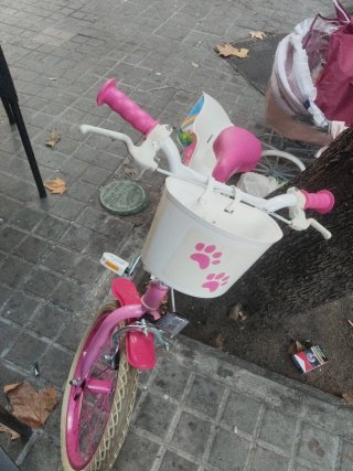 Bicicleta Infantil Rosa