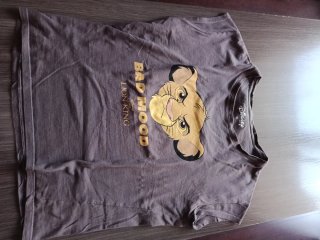 Camiseta Disney El Rey León