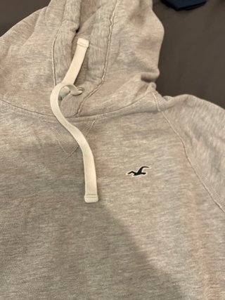 Sudadera Hollister