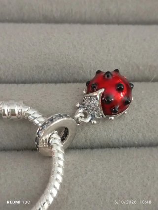 Charm mariquita roja
