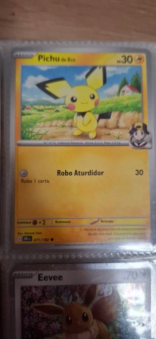 Carta Pokémon Pichu de Eco