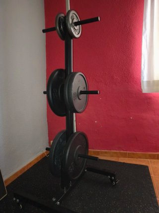Árbol de peso para Discos y Barra de Pesas.