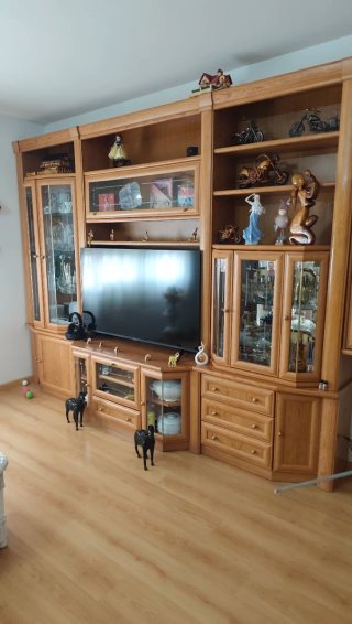 Mueble de Salón de Madera recoger en pegó