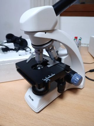 Microscopio ESSLNB