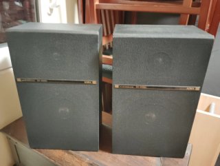 Pareja de altavoces