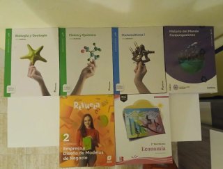 Lote libros Bachillerato Santillana, SM y McGraw