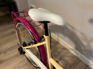 Bicicleta Urbana con Portaequipajes